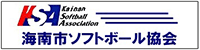 海南市ソフトボール協会